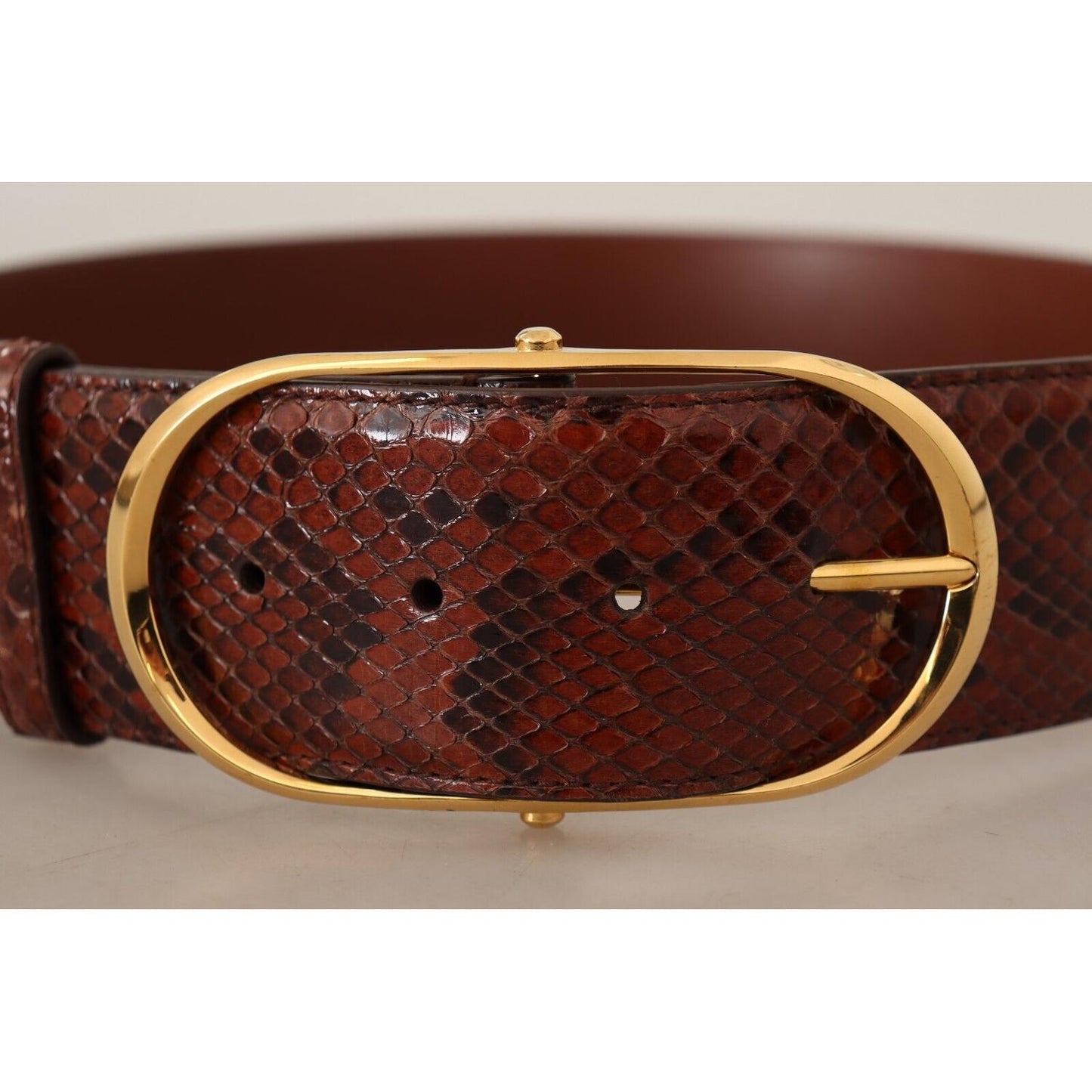 Dolce & Gabbana Brown Exotic Leather Gold Oval Buckle Belt BEL8363 - 70