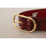 Dolce & Gabbana Red Exotic Leather Gold Oval Buckle Belt BEL8366 - 75