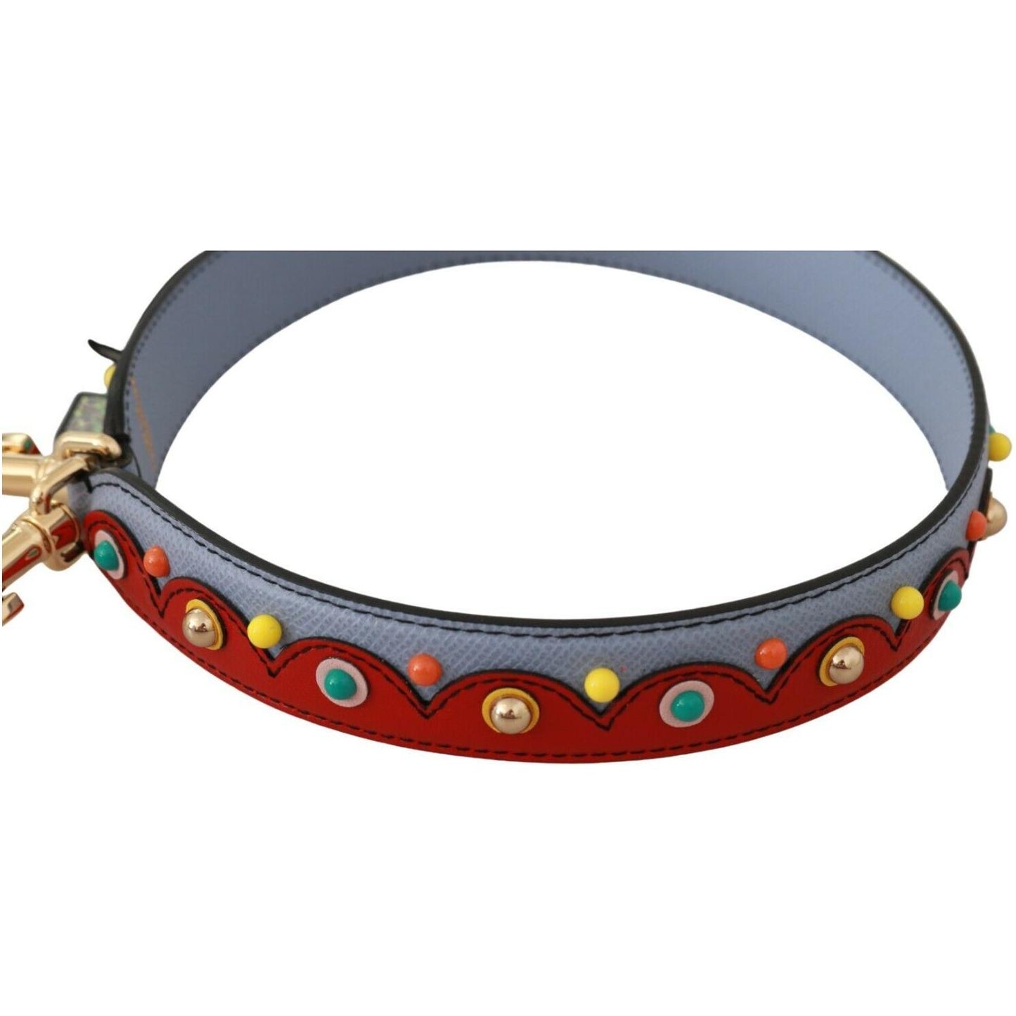 Dolce & Gabbana Blue and red Shoulder Strap Leather Blue Handbag Accessory BEL60593