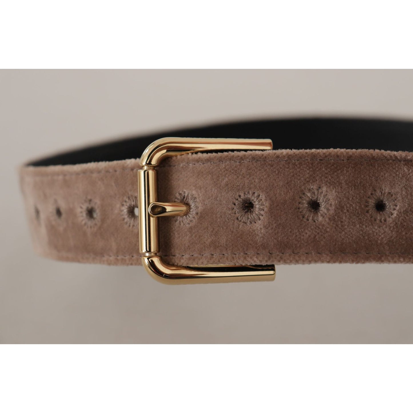 Dolce & Gabbana Light Brown Velvet Gold Tone Logo Metal Buckle Belt WMB162 - 65