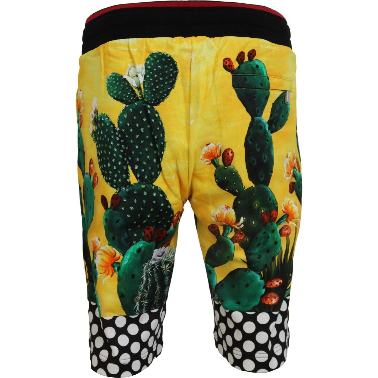 Dolce & Gabbana Multicolor Cactus Print Cotton Sweat Shorts PAN74569-44