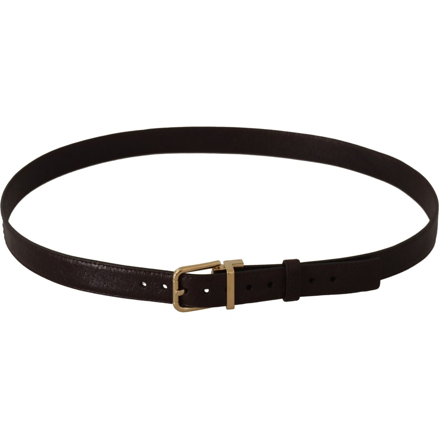 Dolce & Gabbana Brown Leather Gold Metal Buckle Belt BEL8658-95