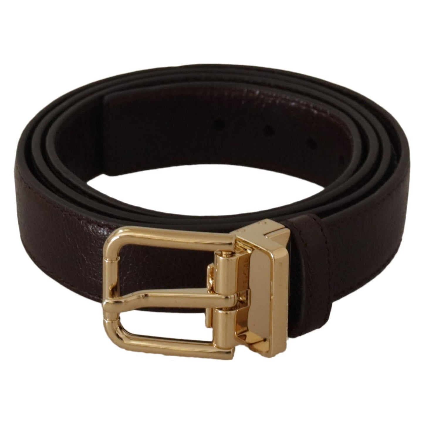 Dolce & Gabbana Brown Leather Gold Metal Buckle Belt BEL8658-95