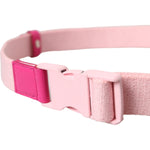 Dolce & Gabbana Pink Canvas Stretch Plastic Buckle Women Belt BEL9179-120