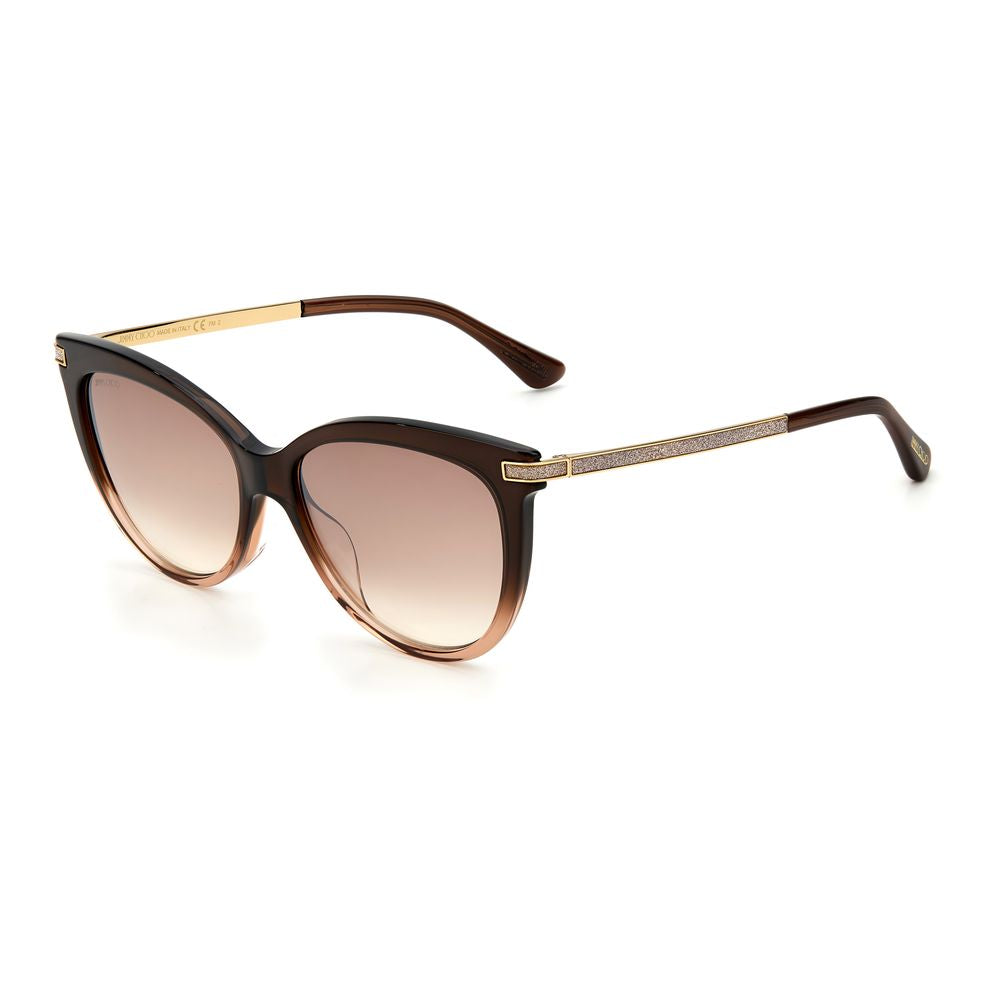 Jimmy Choo Brown Acetate Sunglasses JCAXELLEGS0MYNQAC