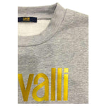 Cavalli Class Gray Polyester Men Sweater CA-24779-S