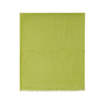 Tessitura di Novara Green Cashmere Scarf TEDI-2184674