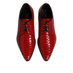 Dolce & Gabbana Red Exotic Leather Lace Up Dress Derby Shoes MV7615-39