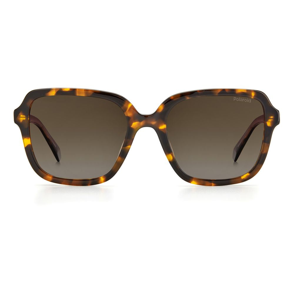 Polaroid Brown Acetate Sunglasses POPLD4095SX086F3LAAC