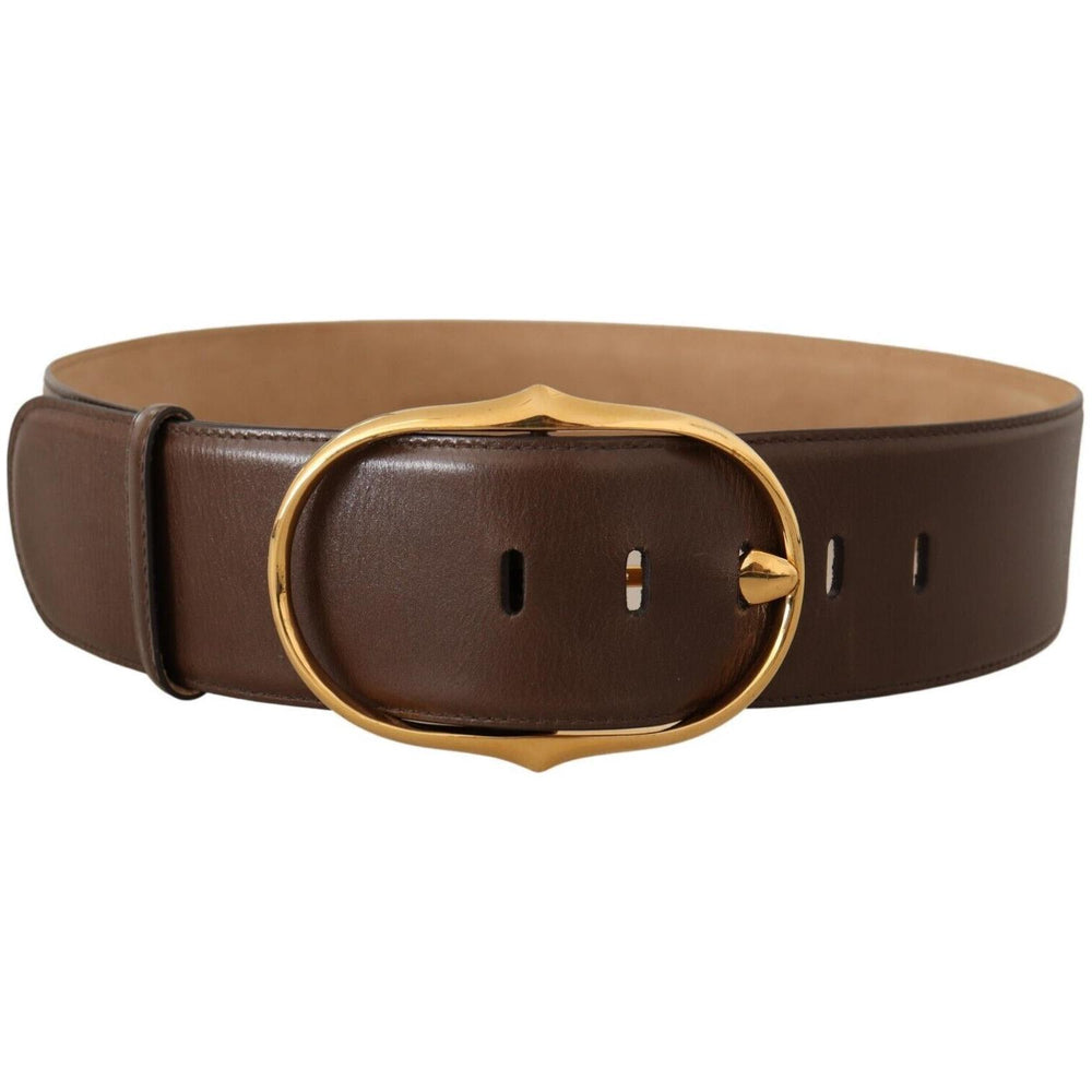Dolce & Gabbana Brown Leather Gold Metal Oval Buckle Belt BEL8380 - 75