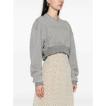 Alexander McQueen Sweaters Grey Topwear