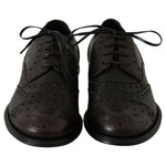 Dolce & Gabbana Brown Leather Wingtip Derby Formal Shoes MV3905- 39
