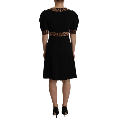 Dolce & Gabbana Black Leopard A-line Knee Length Dress