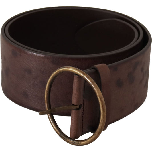 Dolce & Gabbana Dark Brown Wide Calf Leather Logo Round Buckle Belt BEL8745 - 90