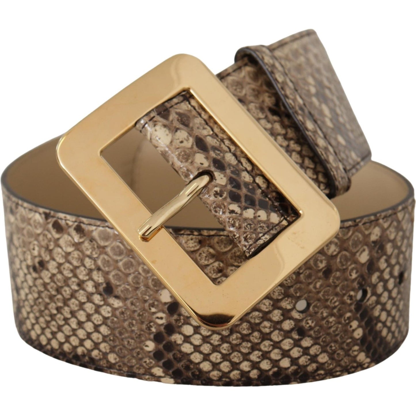 Dolce & Gabbana Brown Exotic Wide Waist Leather Gold Metal Buckle Belt WMB128 - 65