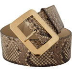 Dolce & Gabbana Brown Exotic Wide Waist Leather Gold Metal Buckle Belt WMB128 - 65