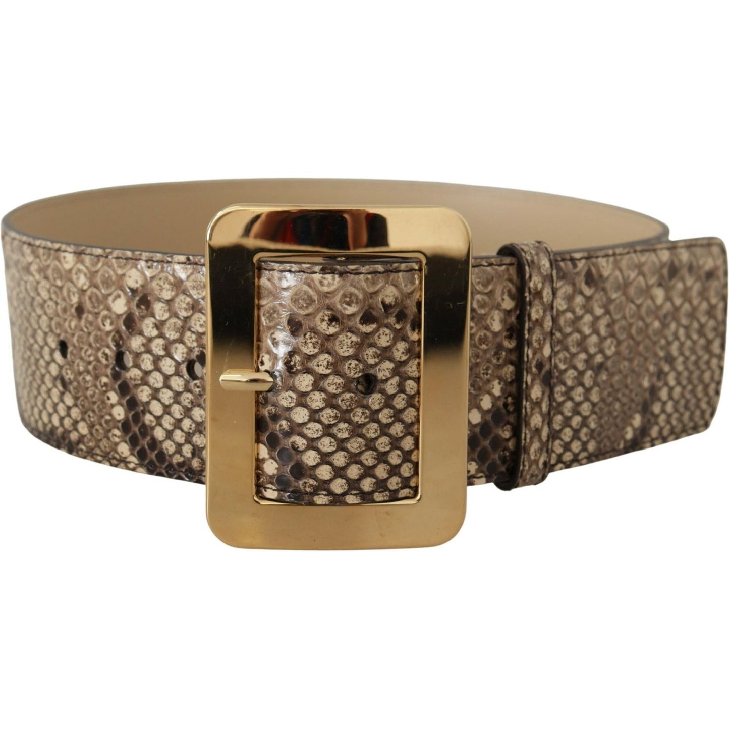 Dolce & Gabbana Brown Exotic Wide Waist Leather Gold Metal Buckle Belt WMB128 - 65