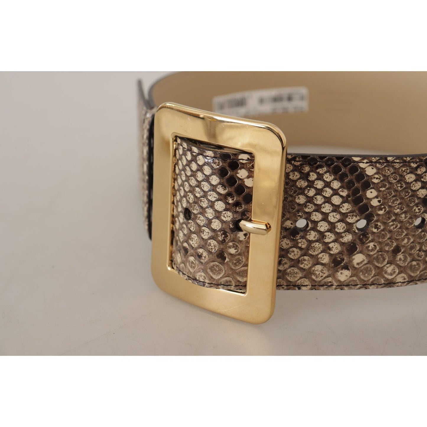 Dolce & Gabbana Brown Exotic Wide Waist Leather Gold Metal Buckle Belt WMB128 - 65