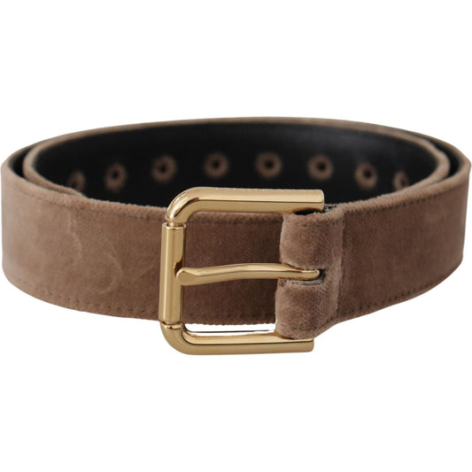 Dolce & Gabbana Light Brown Velvet Gold Tone Logo Metal Buckle Belt WMB162 - 65