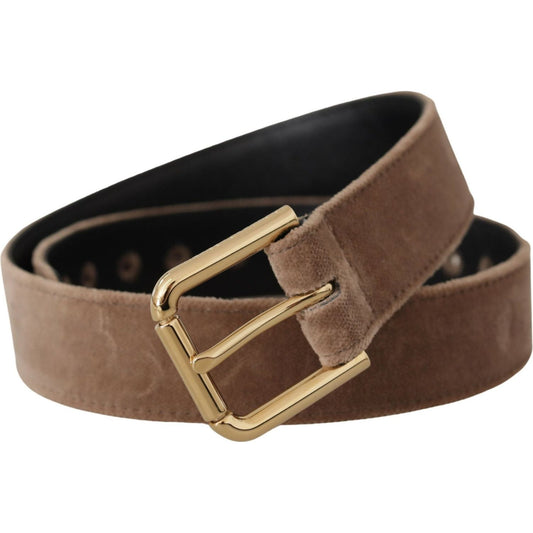 Dolce & Gabbana Light Brown Velvet Gold Tone Logo Metal Buckle Belt WMB162 - 65