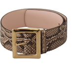 Dolce & Gabbana Beige Exotic Leather Wide Gold Metal Buckle Belt WMN127 - 65