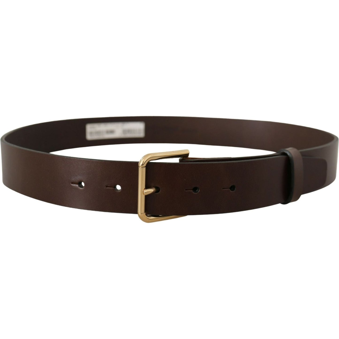 Dolce & Gabbana Brown Plain Calf Leather Gold Tone Buckle Belt BEL8608 -90