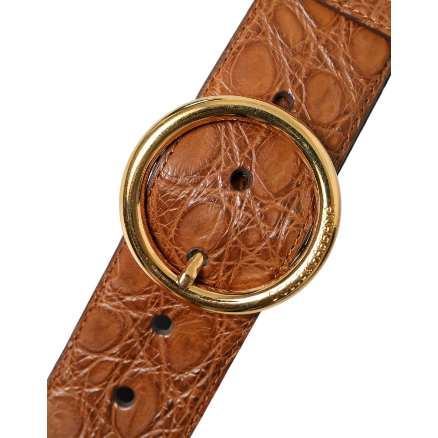 Dolce & Gabbana Brown Exotic Leather Round Buckle Belt