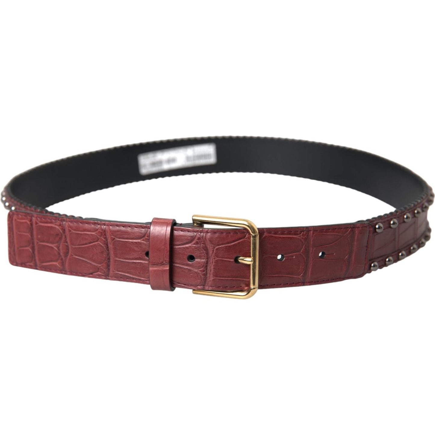 Dolce & Gabbana Brown Alligator Leather Studded Metal Buckle Belt BEL9194-85