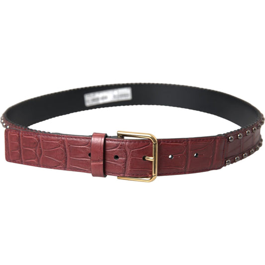 Dolce & Gabbana Brown Alligator Leather Studded Metal Buckle Belt BEL9194-85
