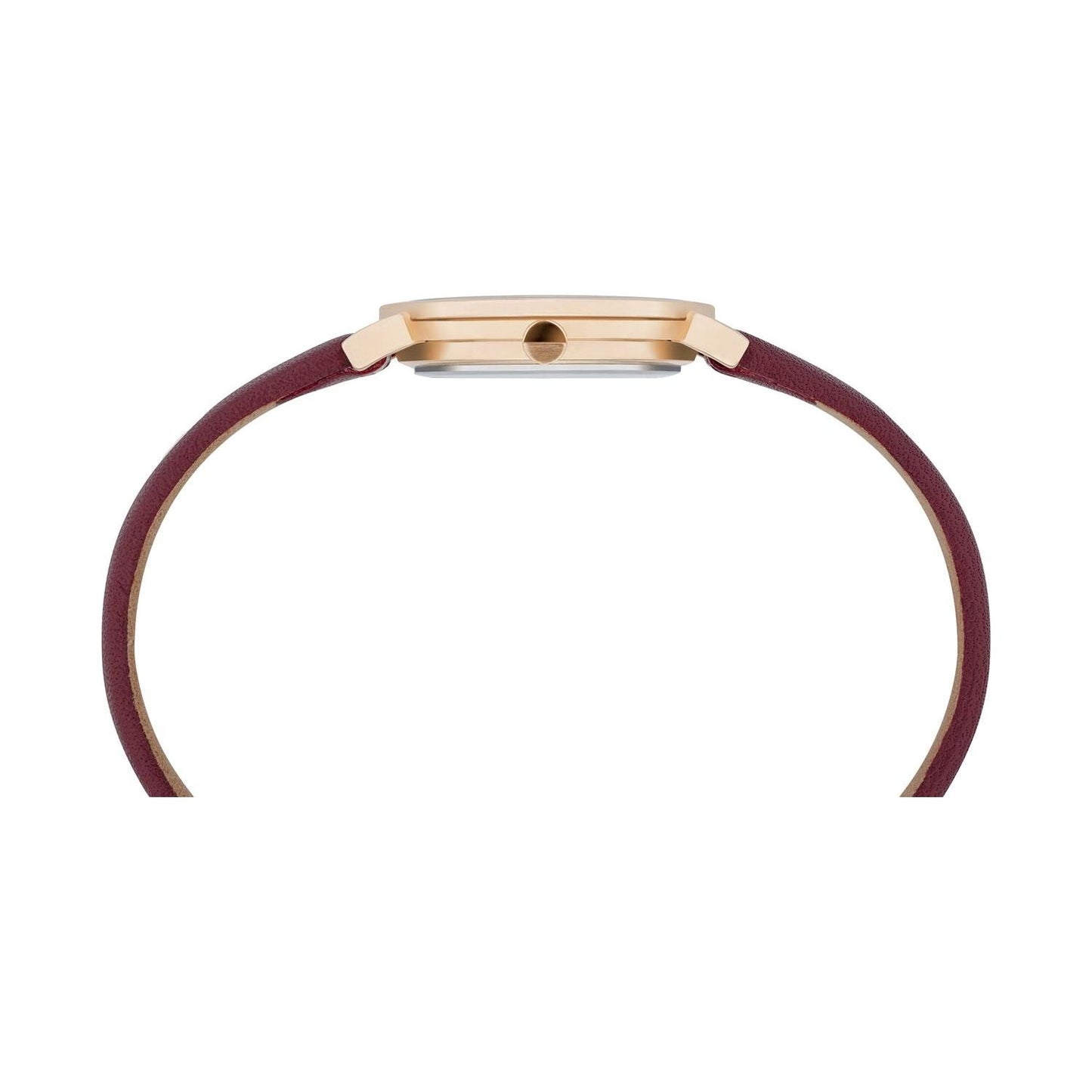 PIERRE CARDIN MOD. CPI-2512 PIERRE CARDIN