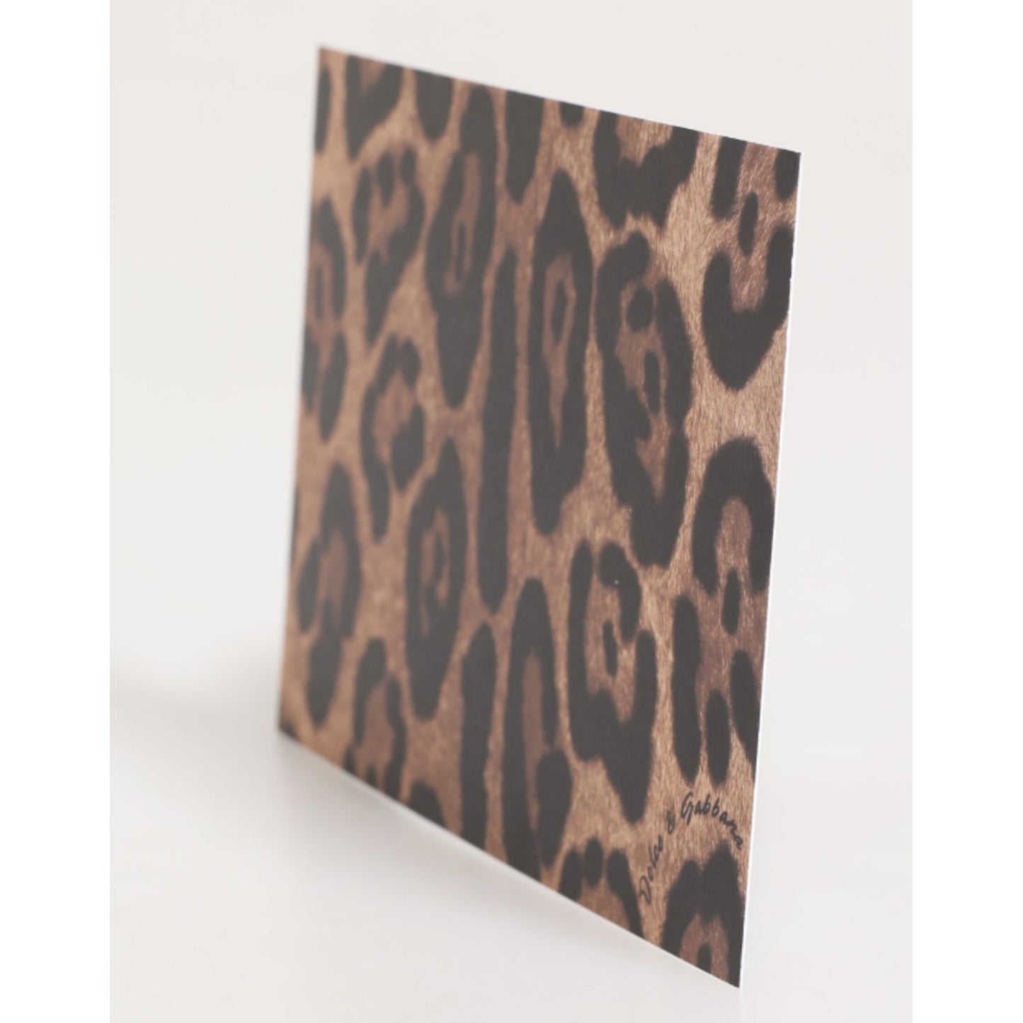 Dolce & Gabbana Multicolor Leopard Print Envelope Paper Post Card Holder with elegant design.