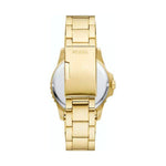FOSSIL GROUP WATCHES Mod. FS6030 FS6030