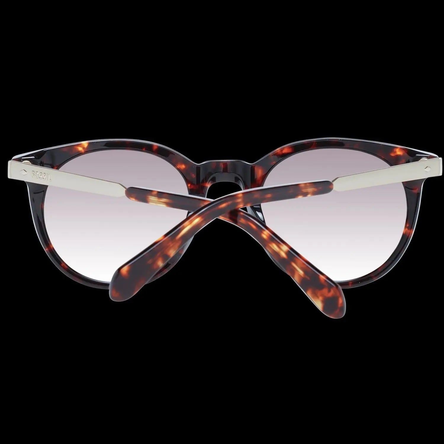 وزارة الدفاع الأحفورية. فوس 2053_S 49086HA